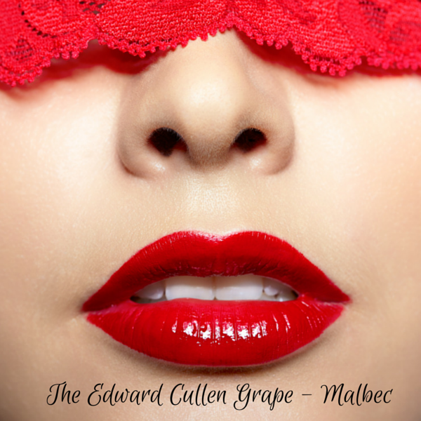 The Edward Cullen Grape – Malbec