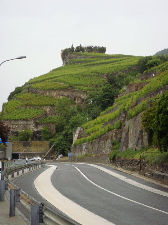 Steep Terraces in Lavaux wine region, Lake Geneva