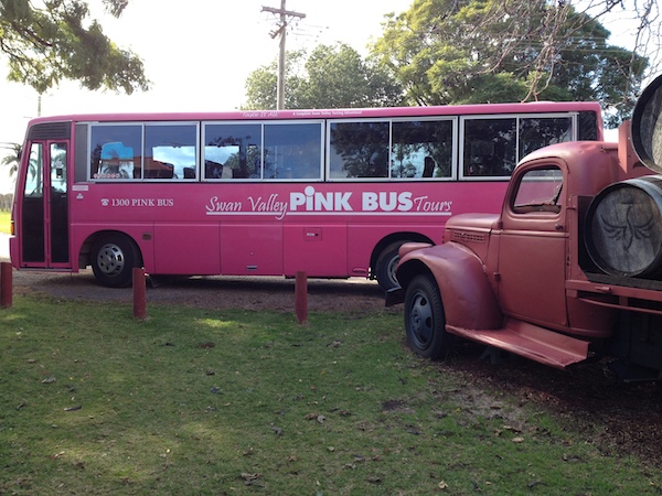 Pink Bus Swan Valley Tour
