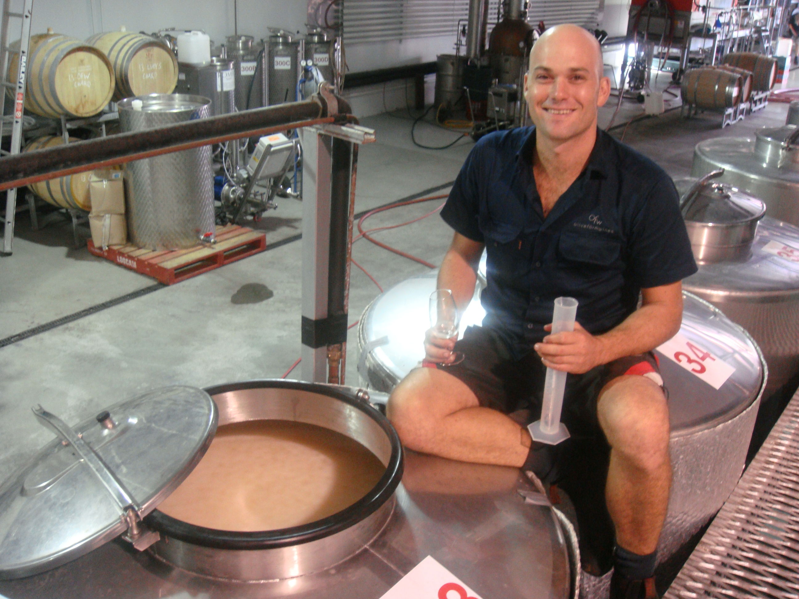 olive farm wines harvest 2013 Anthony Yurisich