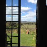 Black Swan vineyard view from resturant lunch swan valley perth