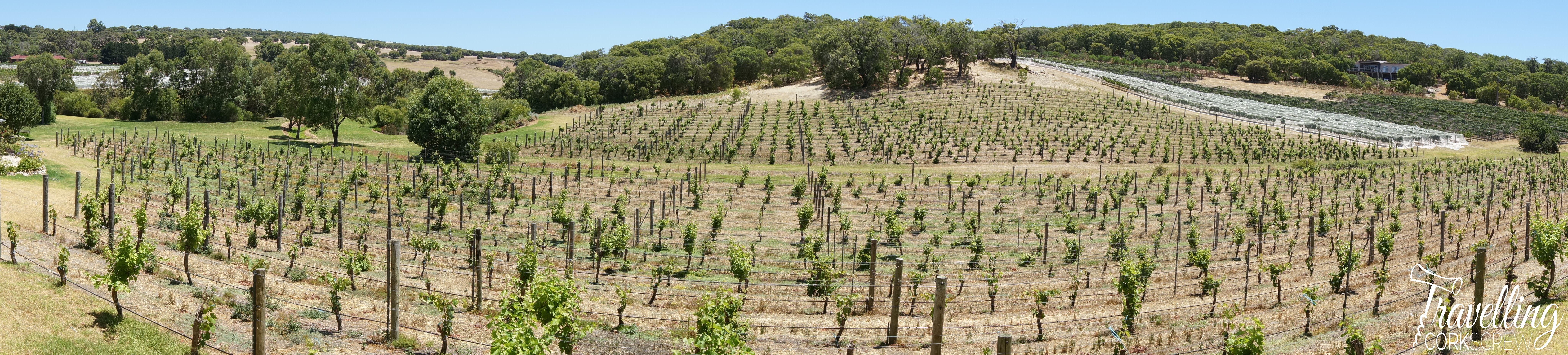 View of Cape Naturalist Vineyard in the Margaret River