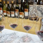 Voyager Estate Introduction to Wine tasting