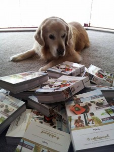 Entertainment Books & Berni a WA Golden Retriever Re-homing Service dog