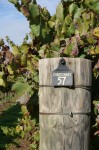 Upper Reach Swan Valley Wineries Chardonnay