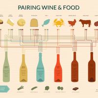 Wine and Food Pairing Infographic Wine Folly