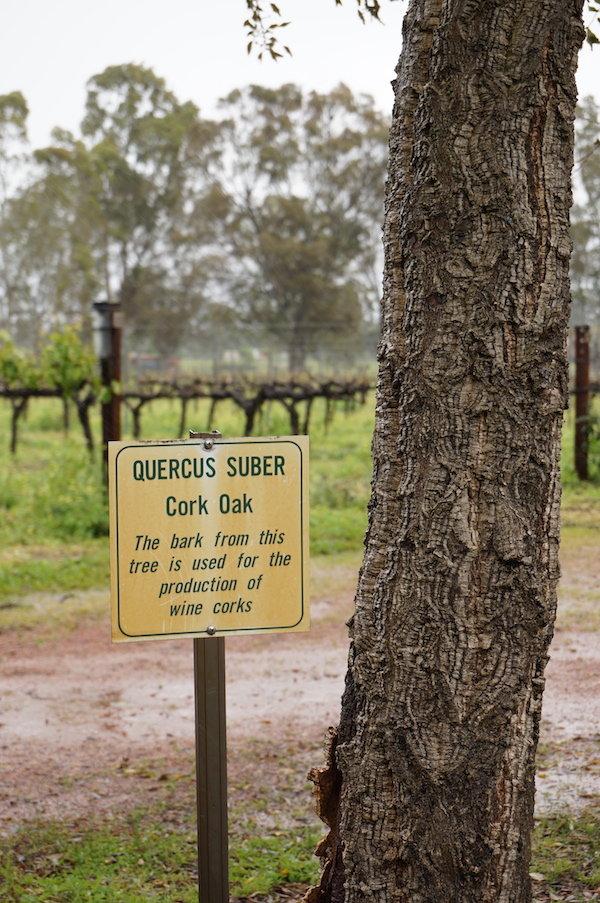 Harris Organic Wines Swan Valley cork tree