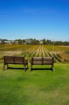 Riverbank Estate Swan Valley vineyard