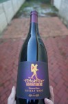 Telethon Adventurers Wine Range Shiraz 2007 front