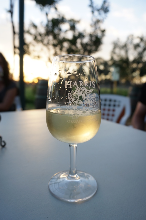 Harris Organic Wines Glass of White Wine