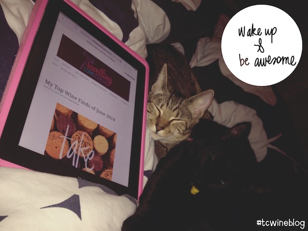 Travelling Corkscrew iPad Kittens