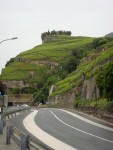 Lavaux wine region Switzerland - Vines