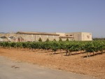 Macia Batle Winery - Mallorca, Spain