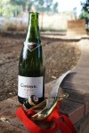 Champagne Sabre & Cordonui Cava
