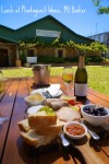 Lunch at Plantagenet Wines in Mt barker