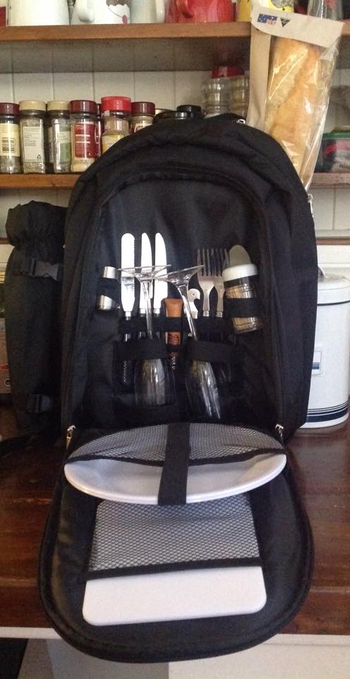 Thermos Picnic Backpack