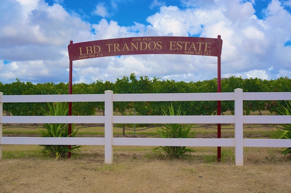 Trandos Estate - Little Black Dog Wines, Swan Valley