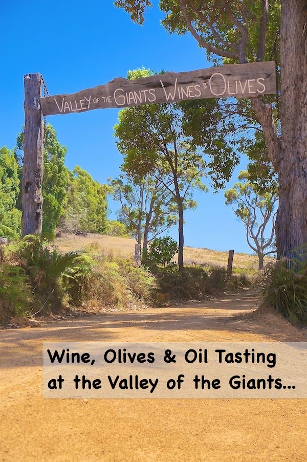 Valley of the Giants Wines & Olives