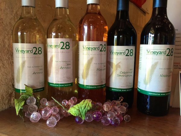 Wine Tasting at Vineyard 28 - Geographe Wine Region