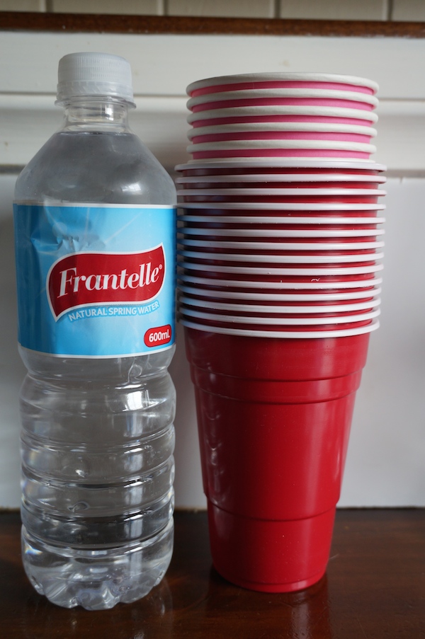 Water & red cup spittoons for wine tasting party at home