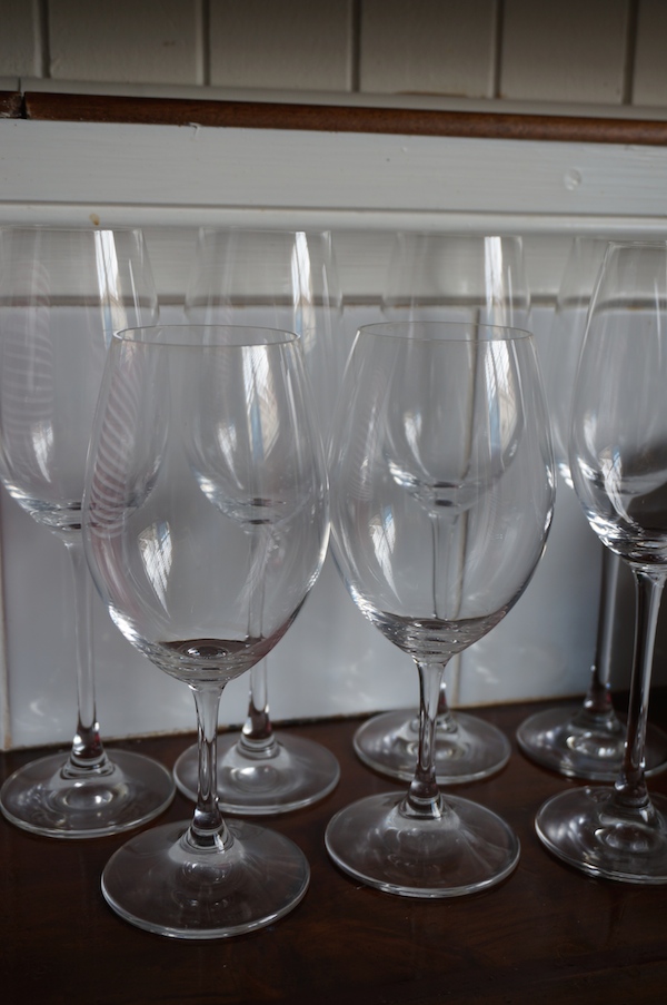 Wine glasses for wine tasting party