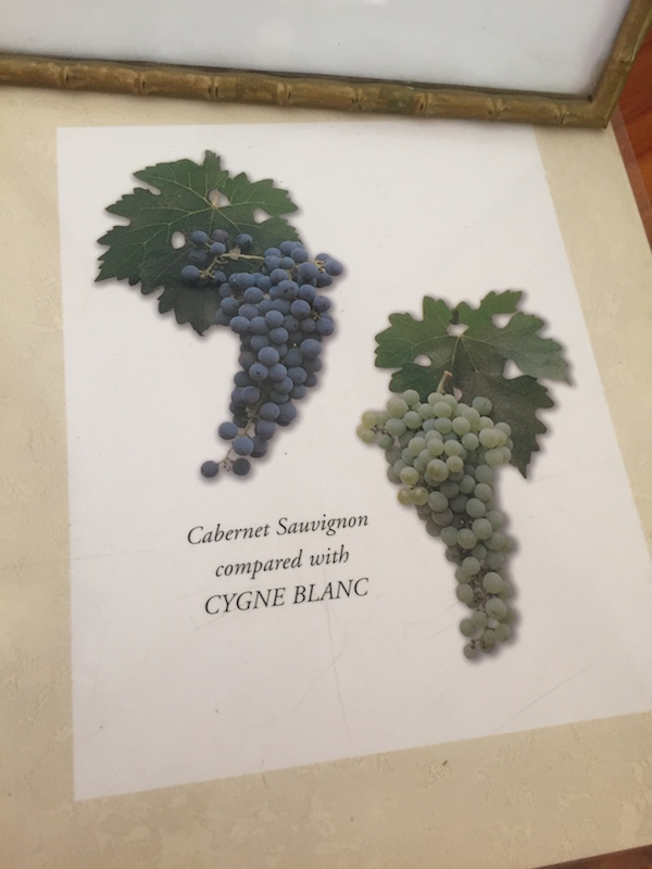 Cygne Blanc & Cabernet - Mann Winery Swan Valley