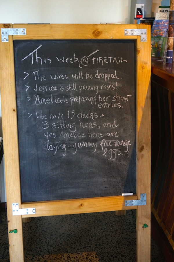Firetail Wines Margaret River News Blackboard