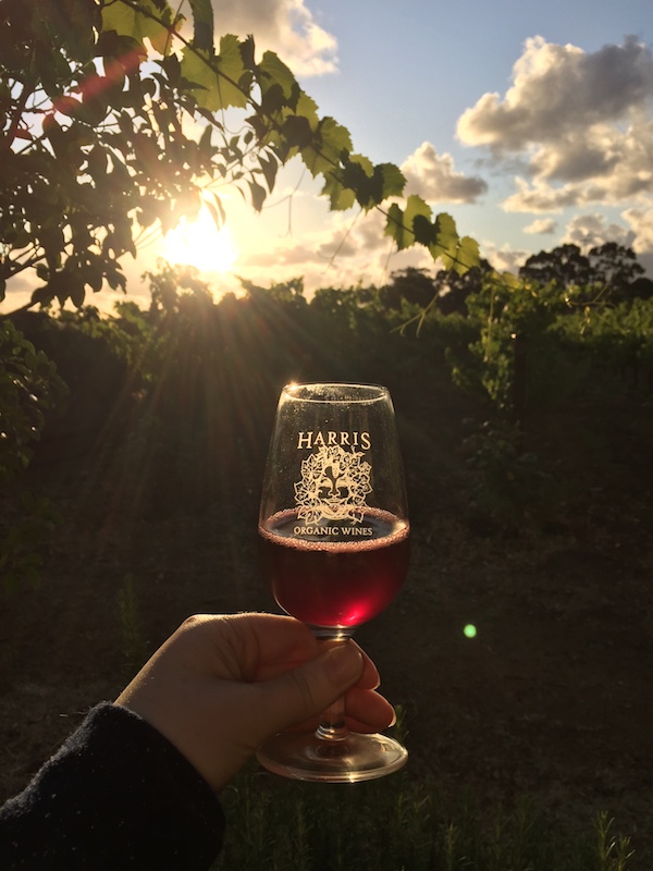 Harris Organic Wines 2016 - Swan Valley