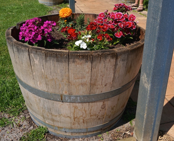 Wine barrel full of flowers at Edwards Wines Margaret River