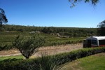 View at Hainault Wines in the Bickley Valley