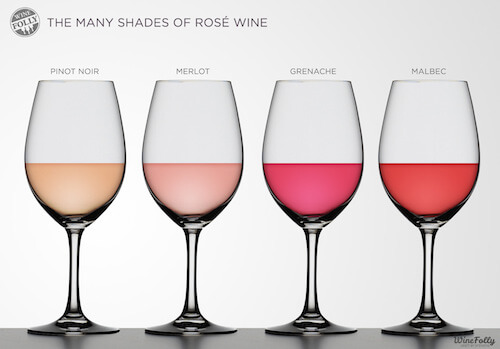 Rose Wine Colours by Wine Folly