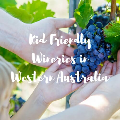 Kid Friendly Wineries in Western Australia You Need to Visit