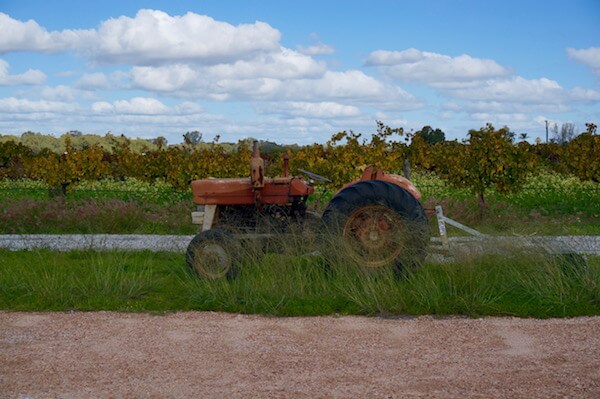 Tractor in vineyard at Pandemonium Estate, Swan Valley