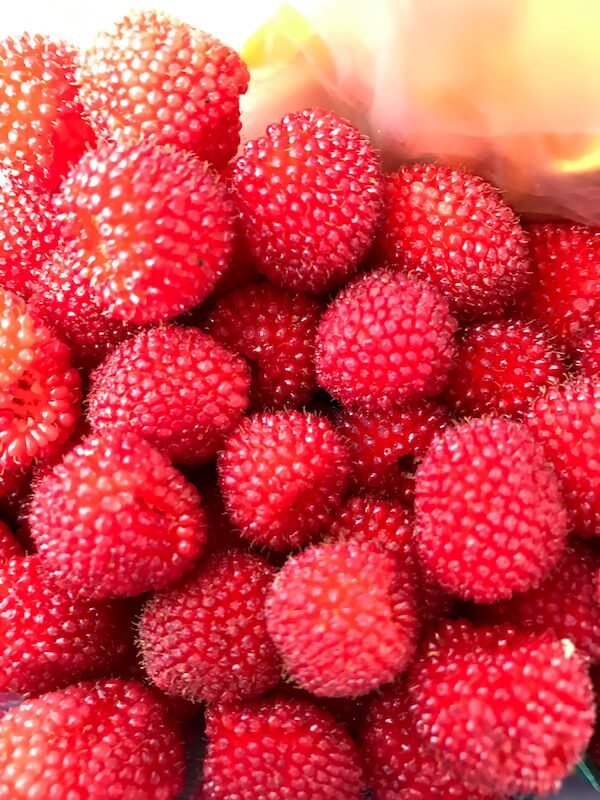 raspberries-in-port-vila-vanuatu