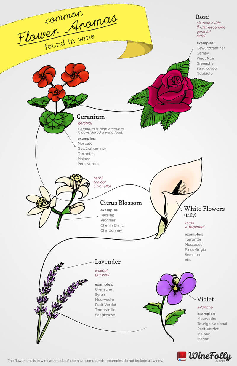 common-flower-aromas-in-wine-by-wine-folly