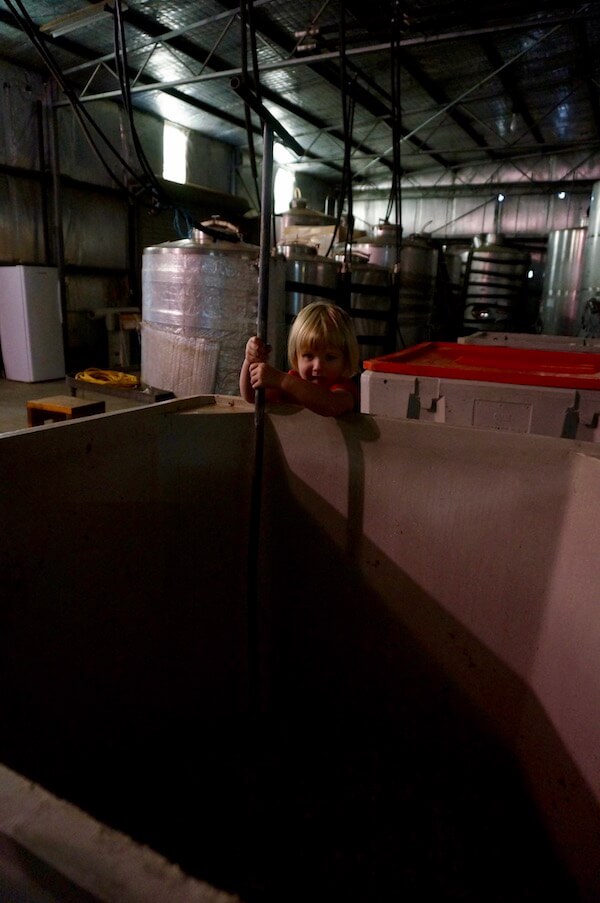 Ava in the winery - Galafrey Wines