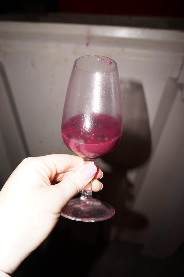 Galafrey Wines 2017 Pinot Noir - Fermentation