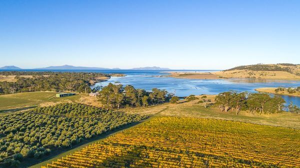 East Coast of Tasmania Wineries