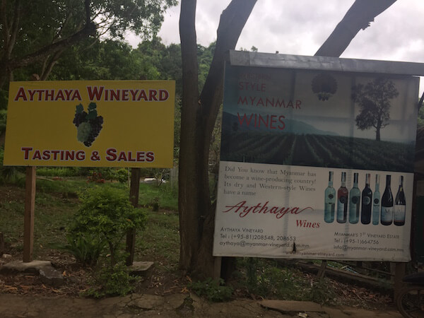 Aythaya Vineyard - Myanmar Wine