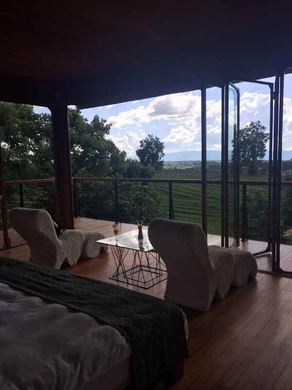 View from room - Monte di Vino Lodge - Aythaya Vineyard