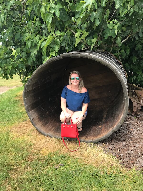 Travelling Corkscrew in old barrel at Vilagrad Wines