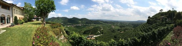 Prosecco winery and vineyard