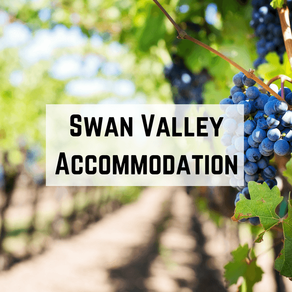 Swan Valley Accommodation at Vineyards & More!