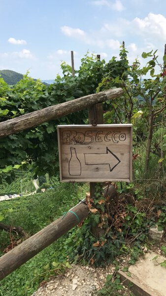 prosecco-road-this-way-in-one-day-italy