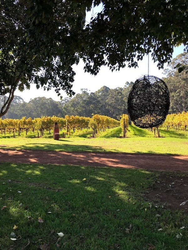 pemberley-pemberton-winery-unearthed-sculptures-vines-wire-ball-pemberton-southern-forests