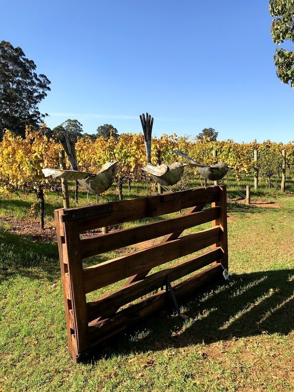 pemberley-pemberton-winery-unearthed-sculptures-vines-wrens-pemberton-southern-forests