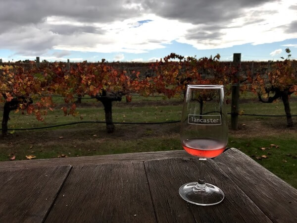 rose-on-an-outdoor-table-at-lancaster-winery