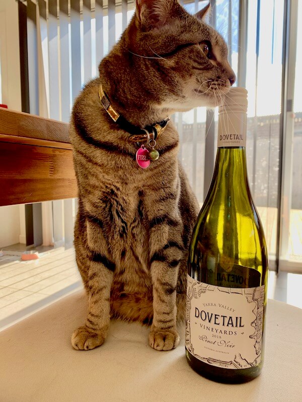 Dovetail Vineyards 2018 Pinot Noir and Fizzy Cat