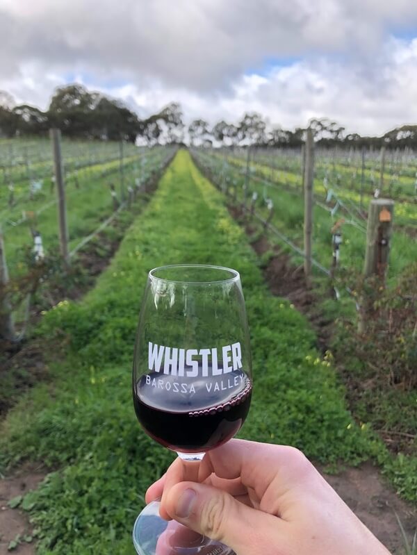 red-wine-in-the-vines-at-whistler-wines-in-the-barossa-valley