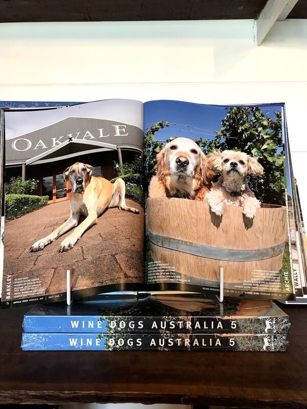 nelson-the-golden-retriever-inside-the-wine-dogs-of-australia-book-with-archie-the-maltese-x-sitting-inside-a-wine-barrel-at-alkoomie-wines-in-frankland-river-great-southern